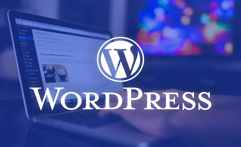 Phát hiện các plugin độc hại trong 25.000 trang web WordPress 